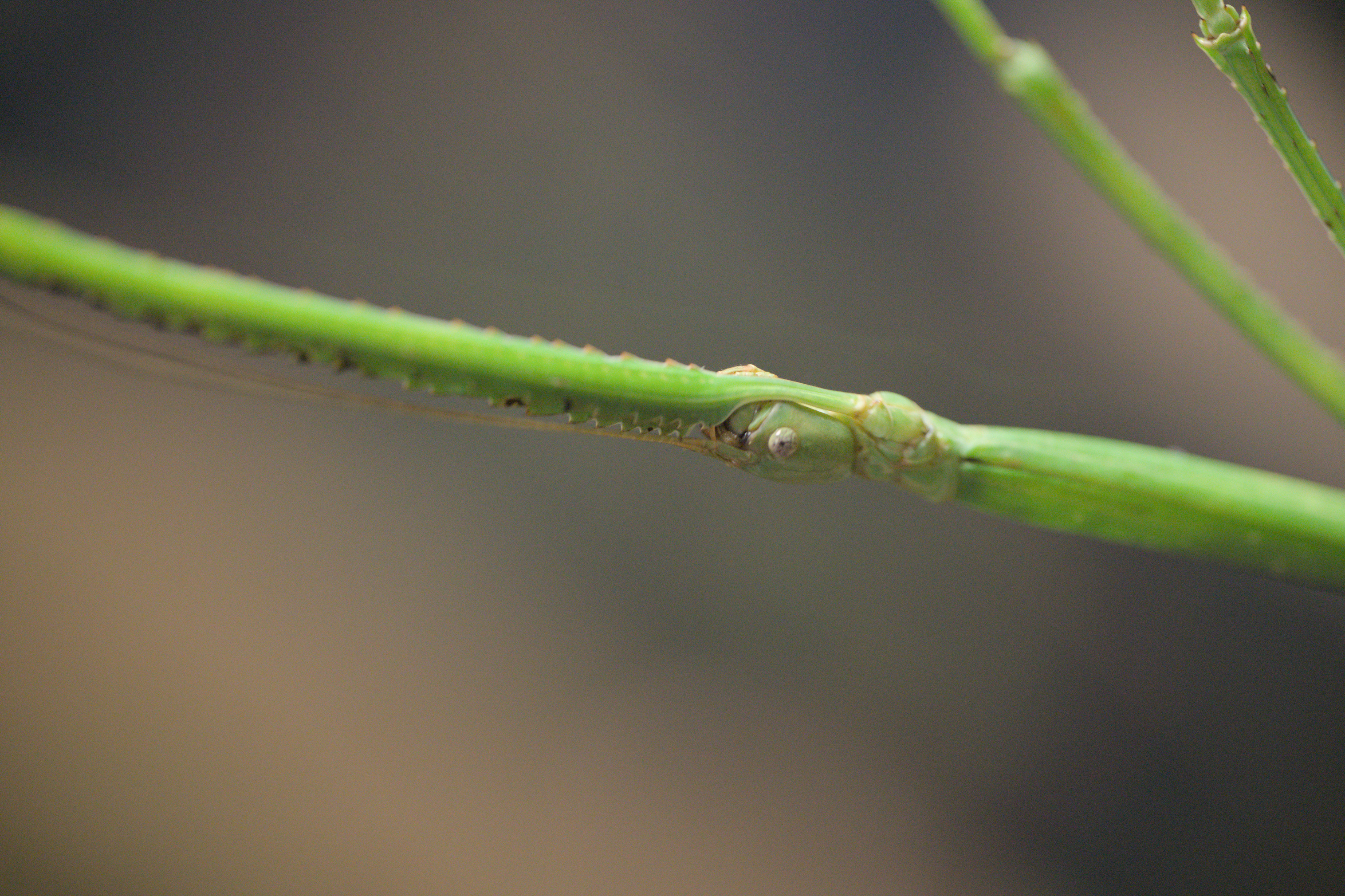 2025/10/12 - zoo/DSC_0214.jpg